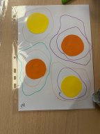 whatsapp image 2026-01-26 at 17.25.18 1